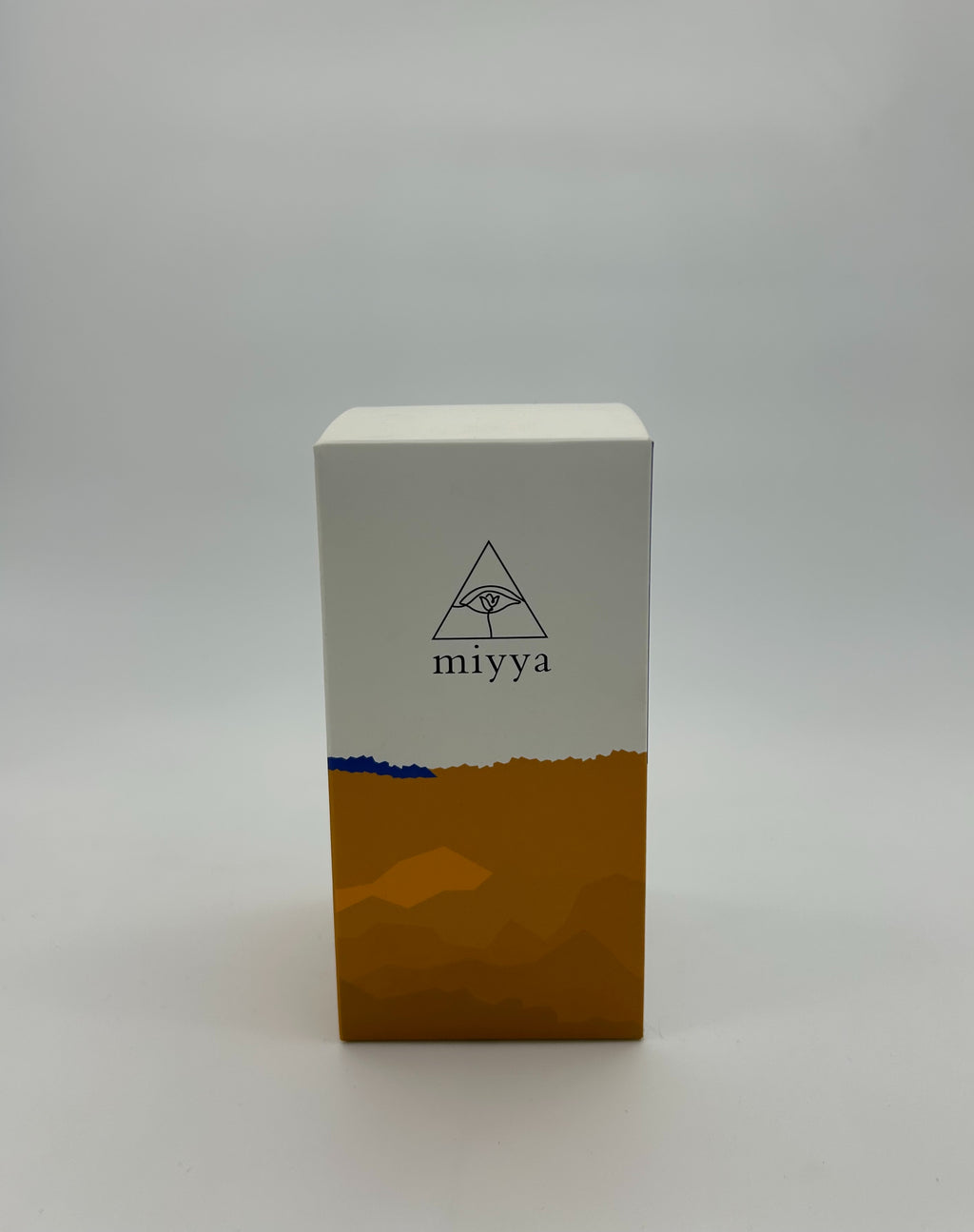 MIYYA Oversized Reading Glasses for Women | Blue Light Blocking 6pc